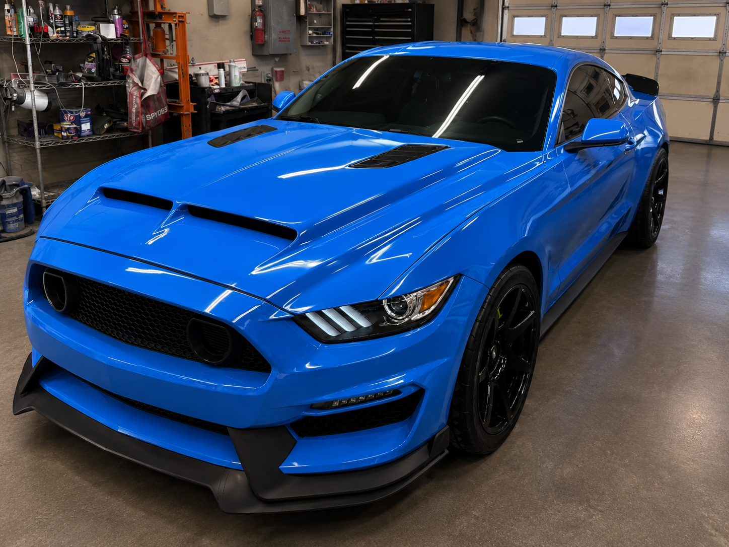 Mustang after